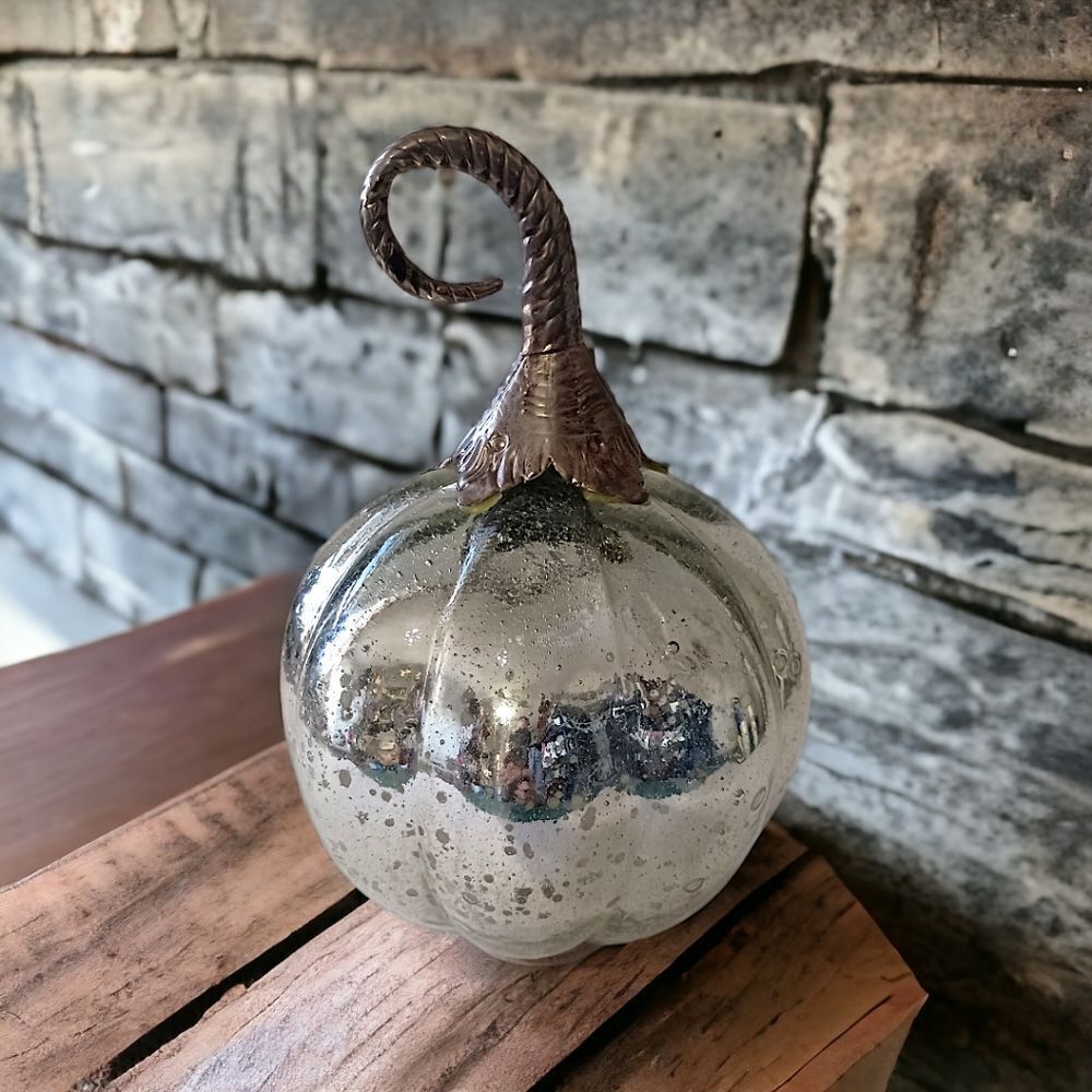 Mercury Glass Pumpkin Gourd Silvery Glass Encased Silver Metal Stem Autumn Fall.